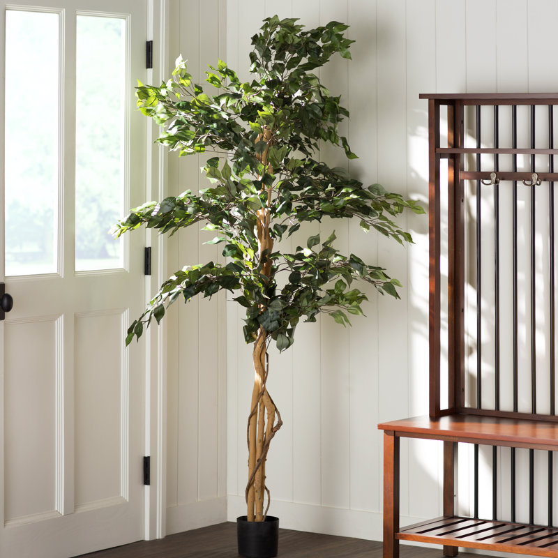 Trent Austin Design® Artificial Ficus Tree in Planter & Reviews Wayfair